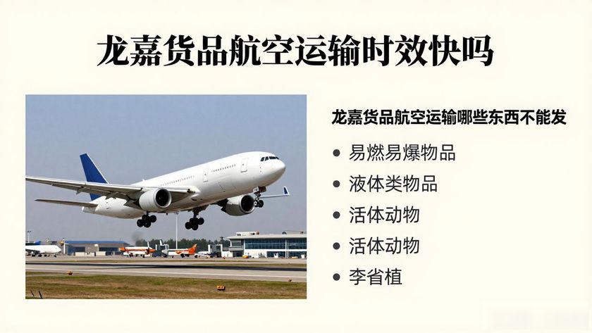 航空货物运输是什么意思_航空货物运输公司_龙嘉货品航空运输